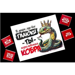 Шоко набор- В мире, где все гадюки-ты королевская кобра.