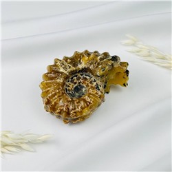 Радуга Самоцветов Аммонит