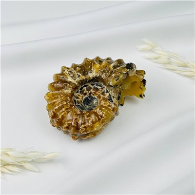 Радуга Самоцветов Аммонит