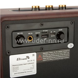 Колонка  ELTRONIC MONSTER BOX  850 (30-15) TWS (коричневый)