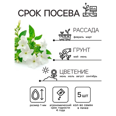 Семена цветов Лобелия ампельная "Белый каскад", 5 шт.