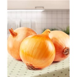 Лук семейный (шалот) Голден Гурмэ, арт.: 69383