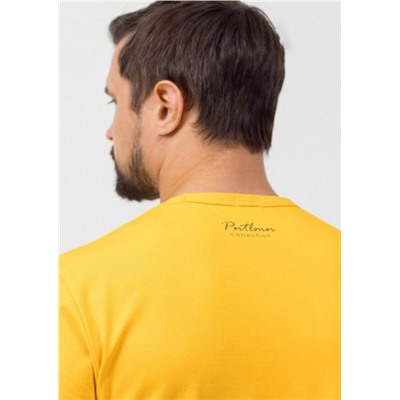 Футболка мужская, Pantelemone, MF-1087 оптом