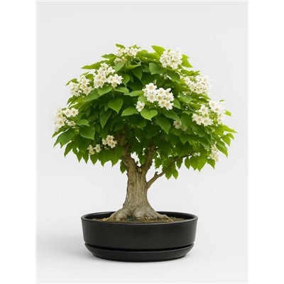 Набор д/создания бонсай "Сад Радости", "Орхидейное дерево"