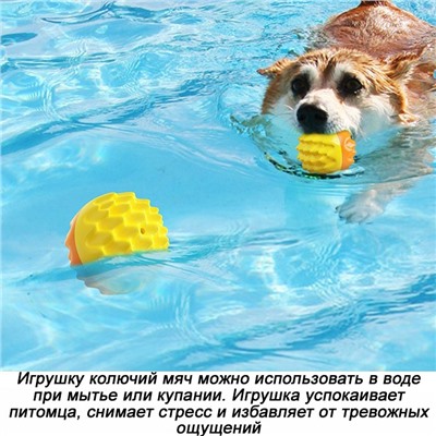 Игрушка-пищалка для собак, жевательная, "колючий" мяч К2202А