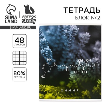 Тетрадь в клетку, предметная, 48 л.,на скрепке, А5 «ПРИРОДА. Химия»