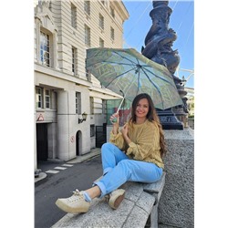 L849-4115 VangoghChair (Стул Винсента, В.Гог) Зонт женский механика Fulton