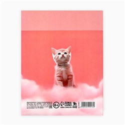 Дневник школьный для 1-11 класса, в интегральной обложке, 40 л. «Котик на облаке»