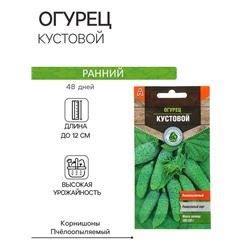 Семена Огурец "Кустовой" раннеспелый, пчелоопыляемый, 0,3 г