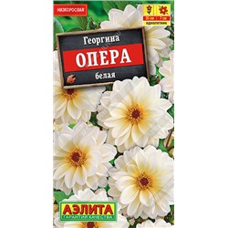 1255 Георгина Опера белая 7шт