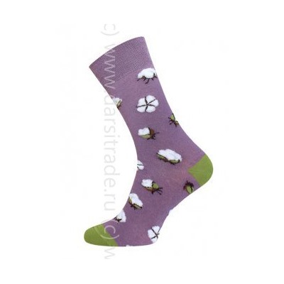 Носки женские 21С4200В 007 Брестские Fajna Socks Conte [6шт] Дроп х/б