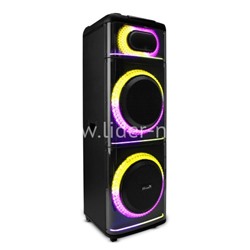 Колонка 12" (20-21 DIAMOND BOX 2500)  динамик 2шт/12" ElTRONIC с TWS