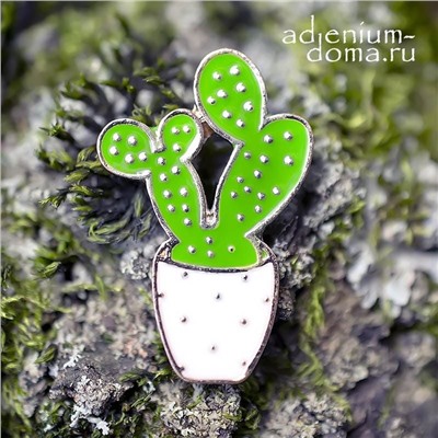 Значок Кактус Opuntia MICRODASYS I (Опунция, Брошь)