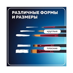 Кисти BRAUBERG PREMIUM, набор 5шт. (синтетика, круглая №1,3,5, плоская №5,8), блистер, 201024