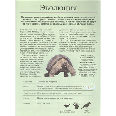 Уценка. Животные. Современная энциклопедия