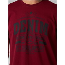 Футболка мужская арт. 02285/Denim