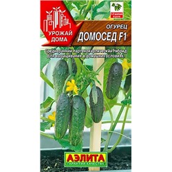 Семена Огурец Домосед F1, арт.: 9857