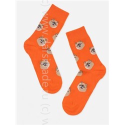 Носки женские 21С4200 159 Брестские Pets Conte [6шт] Дроп