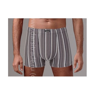 Трусы мужские GS7868 Gentlemen шорты