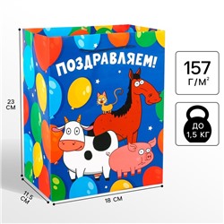 Пакет подарочный «Поздравляем!»,18х23х11.5 см, упаковка,