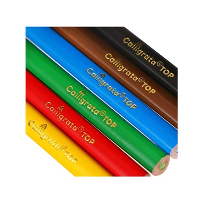 Карандаши цветные 6 цветов TOP Calligrata, супермягкие, в картонной коробке, диаметр грифеля 3 мм, 5B