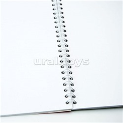 Альбом для рисования 20л. "Любимое лакомство" на гребне, мел.цв.обл.,бл.