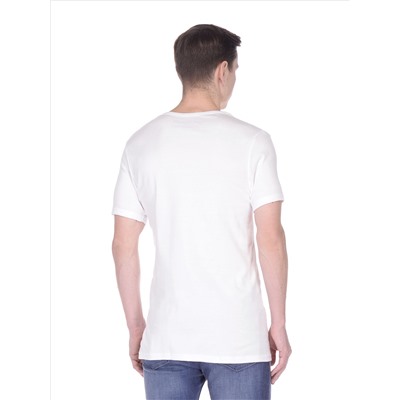Футболка мужская D05GV DIM Basic