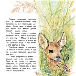 «Познаём мир вокруг нас. Приключения оленёнка», 16 стр.