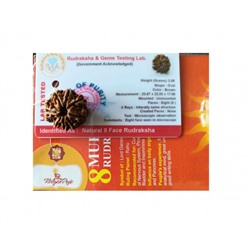 Рудракша сертифицированная (8 мукхи), 8 Mukhi Certified Rudraksha (Nepali Origin), произв. Kalyan Puja