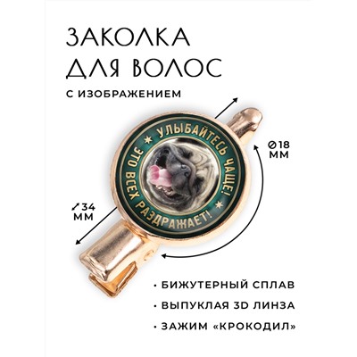 HZF-0366 Заколка Улыбайтесь чаще