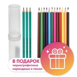 Карандаши цветные 12 цветов Calligrata, ЭКОНОМ, заточенные, шестигранные, пластиковые, пенал-тубус и 3 чернографитных карандаша с ластиком в ПОДАРОК