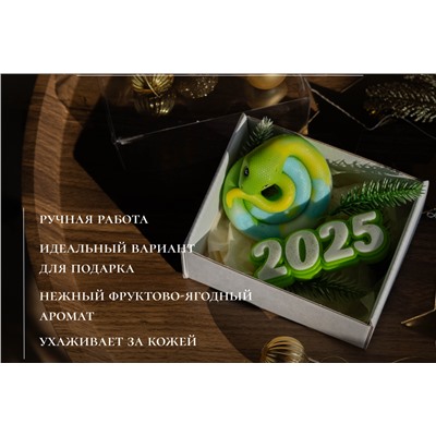 89613 Набор Змея 2025