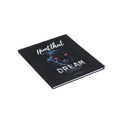 Дневник школьный для 1-11 классов HUNT THAT DREAM, твёрдая обложка, матовая ламинация, фольгирование, 40 листов