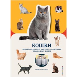 Кошки