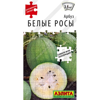 0272 Арбуз Белые росы 5шт