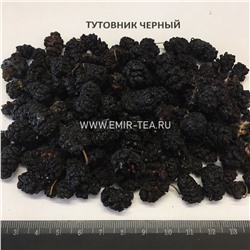 Тутовник черный (код 1627)