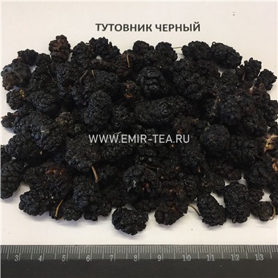 Тутовник черный (код 1627)