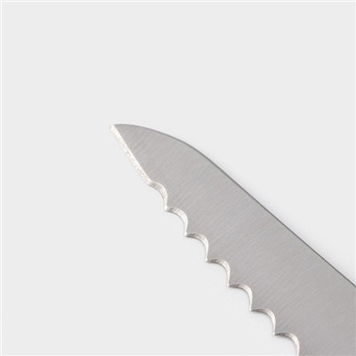 Набор ножей кухонных на подставке Доляна Ardone, 7 предметов: 5 ножей, мусат и ножницы, хромированный