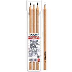 Набор карандашей ч/г "deVENTE. АРХИТЕКТОР" 3шт Т, ТМ, М 2мм шестигран 5030704/24/Китай