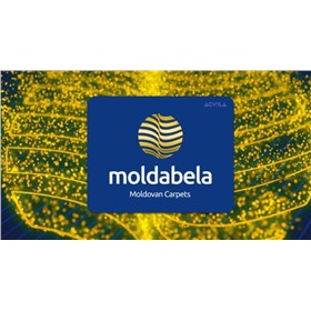 🔥  MOLDABELA  🔥  Знаменитые молдавские ковры ! Классика и современность !