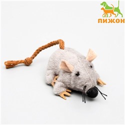 Игрушка для кошек "Грызун", 8,5 см, микс