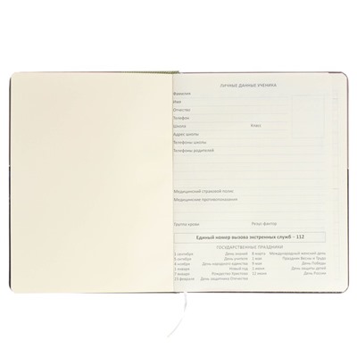 Дневник универсальный 1-11 класса Neon, твёрдая обложка, искусственная кожа, цветной срез, шелкография, ляссе, блок 80 г/м2