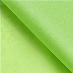 Бумага упаковочная тишью, зеленая, 50 см × 66 см