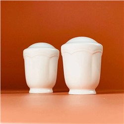 133-449 Набор солонок ШАРМЕЛЬ в под.уп.(х48)Фарфор