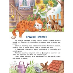 Как Мышонок Кота перевоспитал