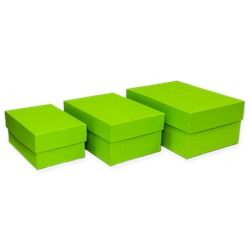 Набор коробок - прямоугольник 3 шт, Травяной 6, 11,5*7,5*5,3-15,5*11,5*7,3 см.