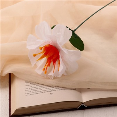 Цветы искусственные «Бегония криспа», h=27 см, d=11 см, белые