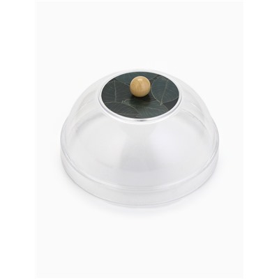 Блюдо с крышкой «Листья», 15 см, пластик