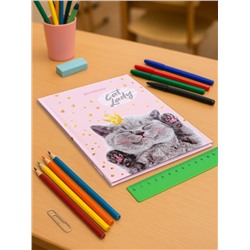 Дневник универсальный для 1-11 классов, "Киса", твердая обложка 7БЦ, глянцевая ламинация, 40 листов