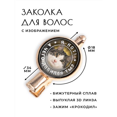 HZF-0355 Заколка Я кот. А чего добился ты?